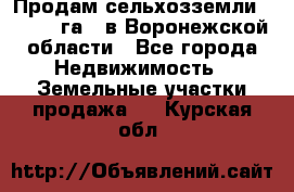 Продам сельхозземли ( 6 000 га ) в Воронежской области - Все города Недвижимость » Земельные участки продажа   . Курская обл.